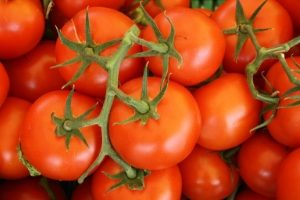 Tomatoes1-300x200